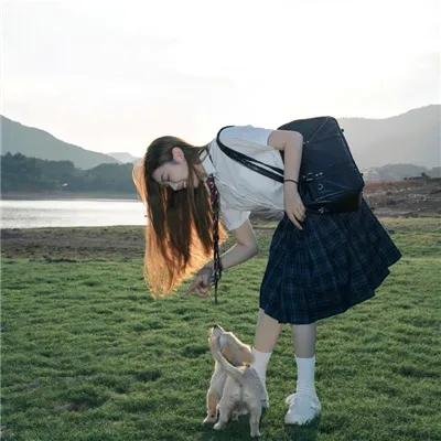 三角梅